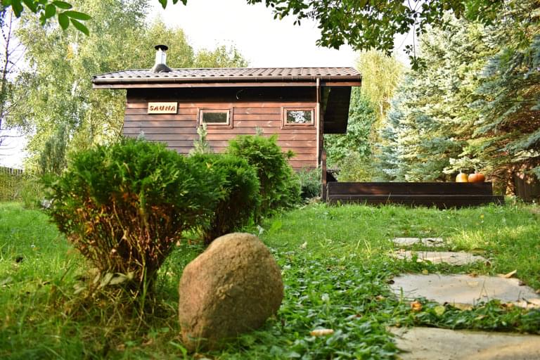 budynek sauny, pośród drzew i krzewów